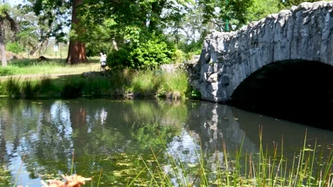 Stone bridge pond Small pond and old stone bridge in the forest Stock Footage 302808218