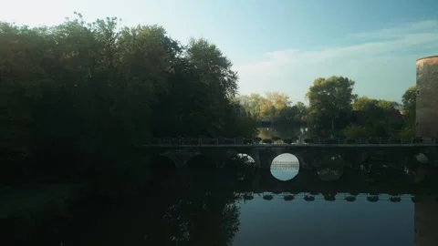 Stone bridge reflected in tranquil canal surrounded by Bruges trees Vídeo Stock 346674815