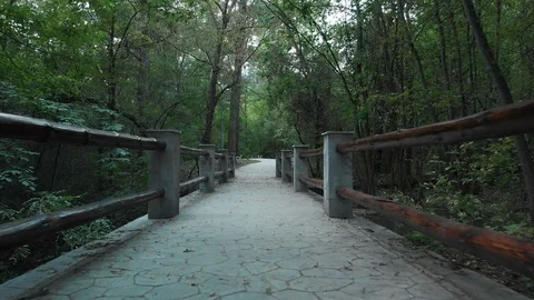 Stone Bridge Slow Forward Tripod Shot Stock Footage 96077591