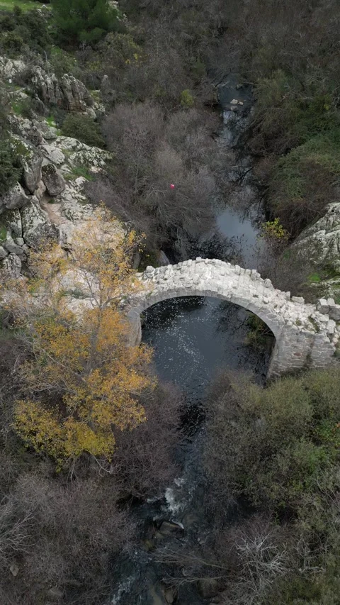 Stone bridge spans tranquil river amidst autumn foliage Stock Footage 293246802
