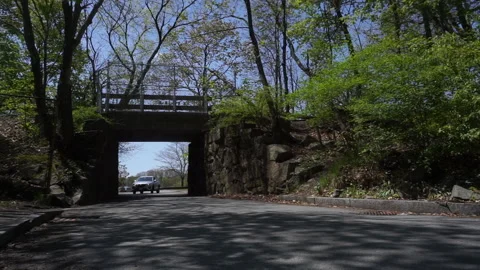 STONE BRIDGE TRAFFIC Stock Footage 194454720