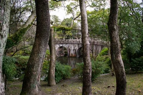 Stone Bridge in a Tranquil Forest Stock Photos