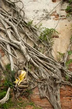 Stone buddha Stock Photos