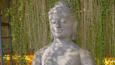 Stone Buddha Statue Head Medium Shot Under A Tree Shade Stock Footage 255919806