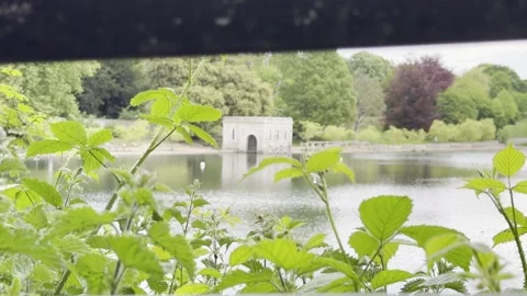 Stone building behind leafy plants close up 库存影片 334759924
