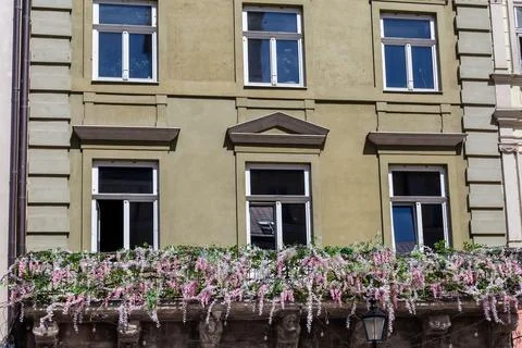 Stone building facade with windows and balcony with blooming wisteria Stock Photos
