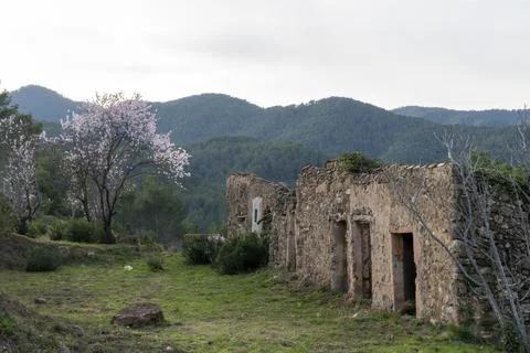 A stone building with a large tree in front of it Stock Photos