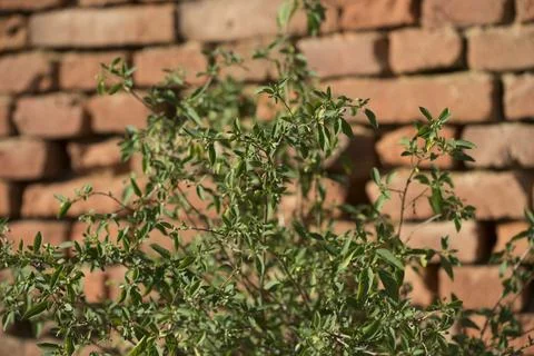 Stone as a building material Stock Photos