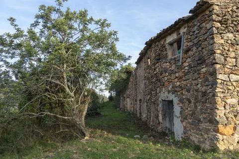 A stone building with a tree in front of it 스톡 사진