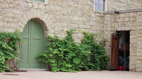 Stone Building with Vines Stock Footage 25235059