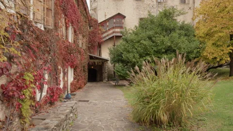 Stone building wall covered in red autumn ivy in historic Italian courtyard 스톡 동영상 325870806