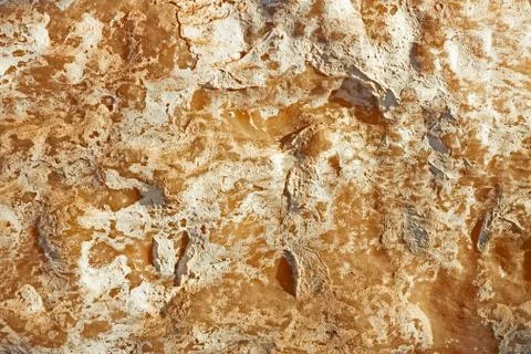 Stone with calcareous layers Stock Photos