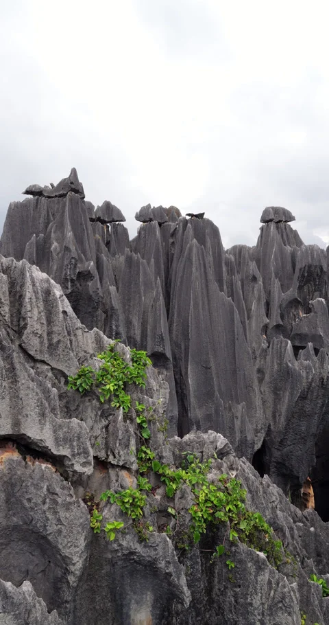 Stone caps balancing on towering karst rock formations in Shilin Stone Forest Stock Footage 329622616