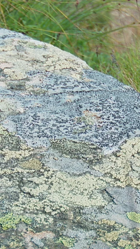 Stone in the Carpathian mountains Stock Footage 346227778