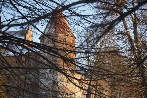 Stone castle tower behind bare branches Stock Photos