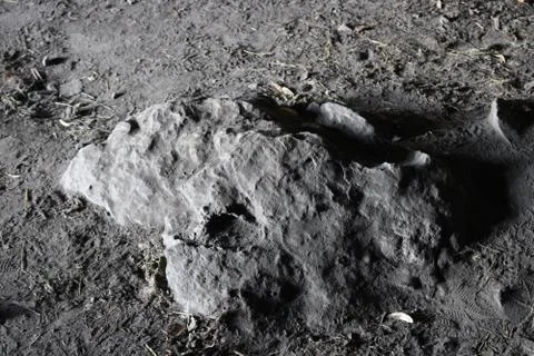 Stone in a cave Stock Photos