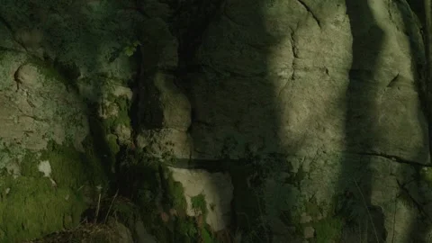 Stone Cave Rocks In Green Moss Covered Forest Landscape Stock Footage 273569064