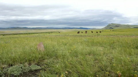Stone Circle Stock Footage 800641