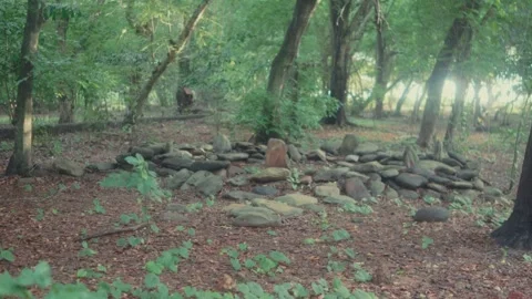 Stone Circle in Forest Clearing with Sunlight Filtering Through Trees 動画素材 341756825
