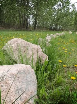 Stone Circle Stock Photos