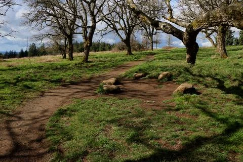 A stone circle in a walnut tree grove with a dirt path running through it Stock Photos