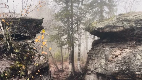 Stone City in autumn. Bright foliage and autumn landscape.  Stock Footage 288571553