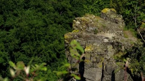 Stone cliff Stock Footage 68803934