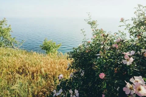 Stone cliff Stock Photos