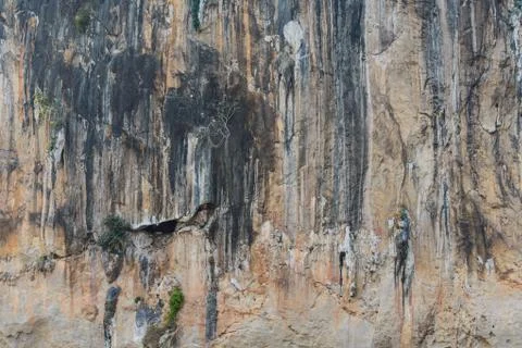 Stone cliff tecture. Stock Photos