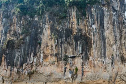 Stone cliff texture. Stock Photos