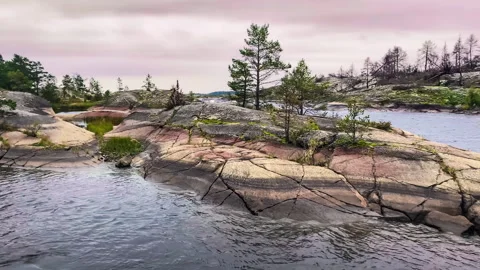 Stone coast of the bay, pine, grass and stones on the shore.Overcast sky. Stock Footage 252965904