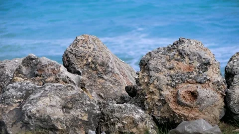 Stone on the coast 動画素材 237197608