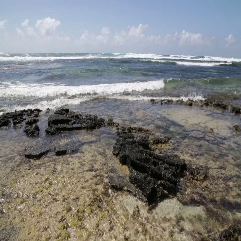 Stone coast in Mauritius Video stock 69482151