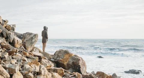 On stone coast Stock Photos