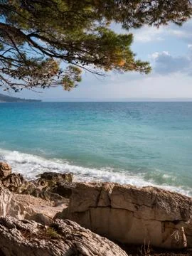 Stone coastline with pine tree Foto stock