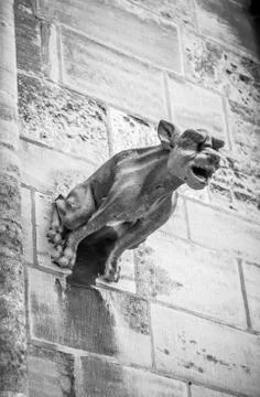 Stone Cold Ferocious-B&amp;W Foto stock