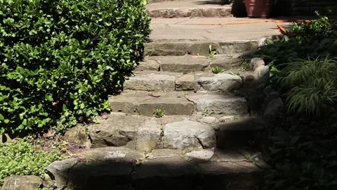 Stone concrete cement steps surrounded by greenery plants, close up Stock Footage 249422219