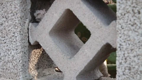 Stone concrete diamond square in fence villa beachside sicily italy street road Stock Footage 252152335