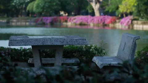 Stone concrete terrazzo table and bench beside a green lake Stock Footage 332293198