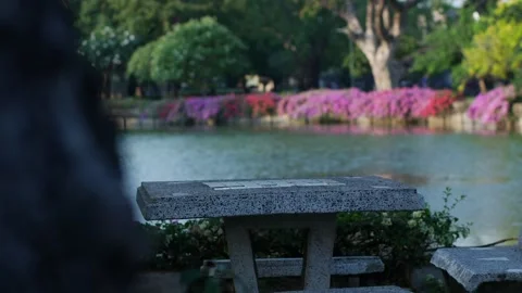 Stone concrete terrazzo table and bench beside a green lake Video stock 332293211