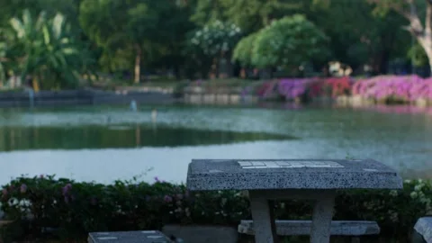 Stone concrete terrazzo table and bench beside a green lake Stock Footage 336316138
