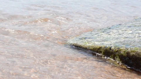 Stone covered with green moss washed by sea waves 動画素材 99832897