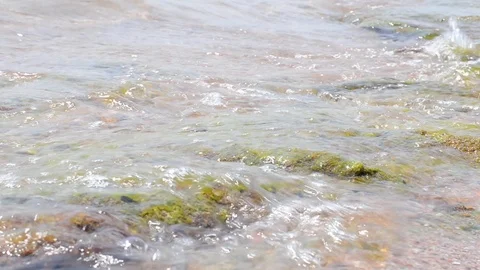 Stone covered with green moss washed by sea waves Stock-Footage 99833535