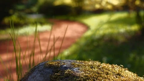 Stone covered in moss at the park of spa town with red clay path in background Stock Footage 108859658