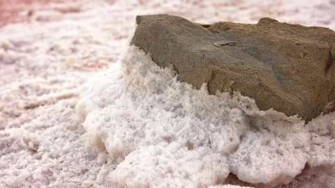 The stone is covered with salt. Video stock 79605636