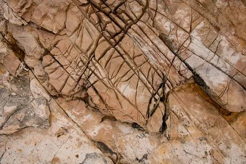 Stone with cracks on surface. Erosion creates amazing textures and patterns on Stock Photos