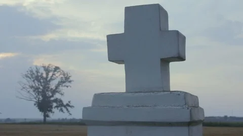 Stone cross. Field. Lonely tree Video stock 103469044