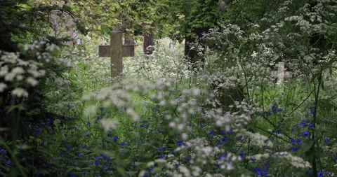 Stone cross in overgrown spring graveyard, wild blue flowers in soft bloom. Stock-Footage 319772382