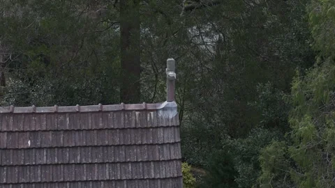 Stone cross on a weathered tile church roof Stock Footage 341905053