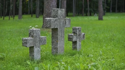 Stone crosses stand in a green field surrounded by trees. The arrangement Stockbeeldmateriaal 344670127